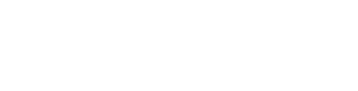 digitalswitzerland_logo_RGB_negativ